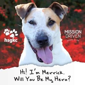 Meet your Posher, Alisa